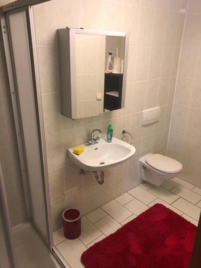 1-Zimmer Apartment, 45 Qm, Im Weinort Neustadt-Duttweiler Neustadt an der Weinstraße Buitenkant foto