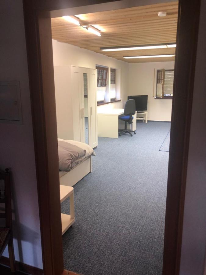 1-Zimmer Apartment, 45 Qm, Im Weinort Neustadt-Duttweiler Neustadt an der Weinstraße Buitenkant foto