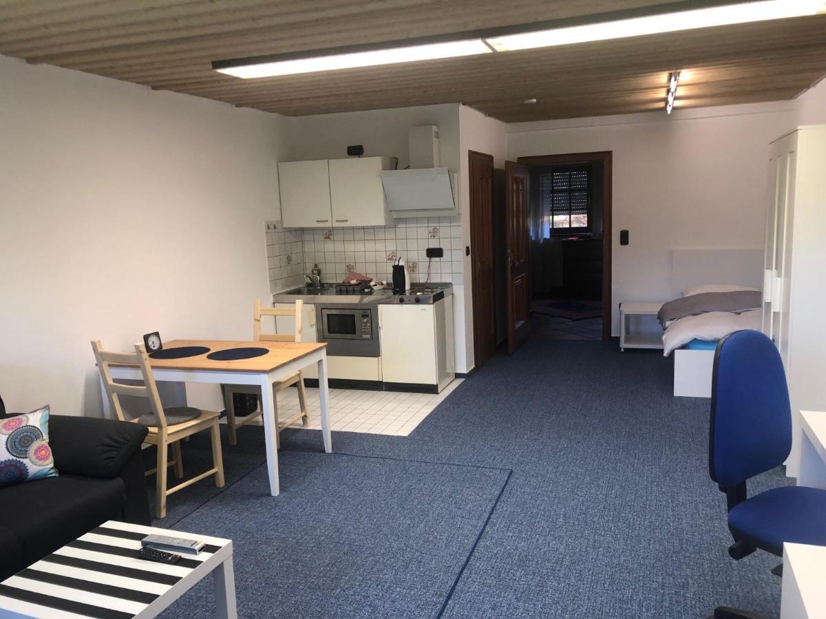 1-Zimmer Apartment, 45 Qm, Im Weinort Neustadt-Duttweiler Neustadt an der Weinstraße Buitenkant foto