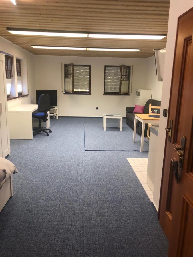 1-Zimmer Apartment, 45 Qm, Im Weinort Neustadt-Duttweiler Neustadt an der Weinstraße Buitenkant foto