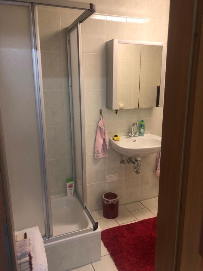1-Zimmer Apartment, 45 Qm, Im Weinort Neustadt-Duttweiler Neustadt an der Weinstraße Buitenkant foto
