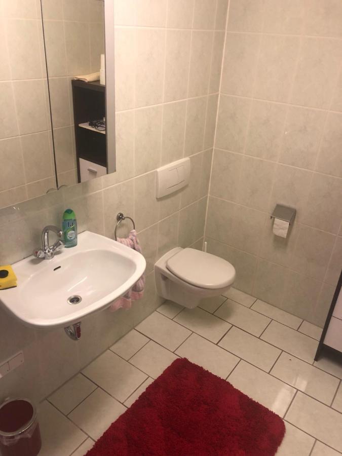 1-Zimmer Apartment, 45 Qm, Im Weinort Neustadt-Duttweiler Neustadt an der Weinstraße Buitenkant foto